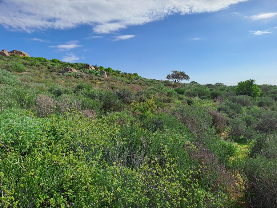 0 Bedroom Property for Sale in Britannica Heights Western Cape
